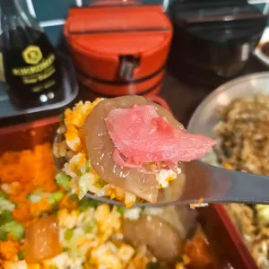 료시 사진