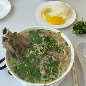 포레스트 오늘숲 사진