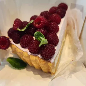 오늘의위로 사진