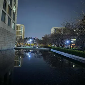머노까머나 리뷰 사진