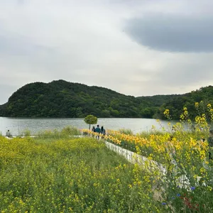 바실라 리뷰 사진