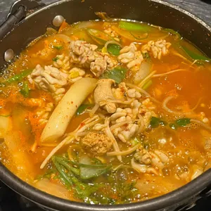 숲 사진