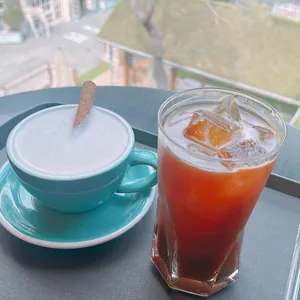 트랜블루 사진