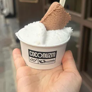 코코너즘 사진