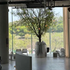 SETT 리뷰 사진