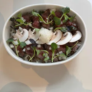 핀치 사진