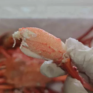 대영수산 사진