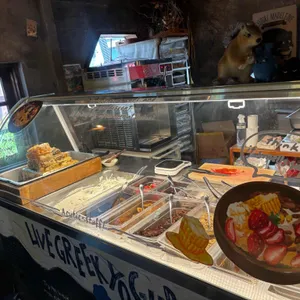 도토리 사진