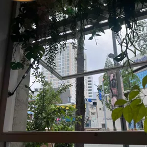 루모스커피 리뷰 사진