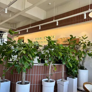 펄스맥 리뷰 사진