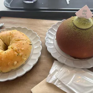 도아시스 사진
