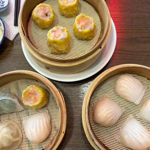 샤오바오 사진
