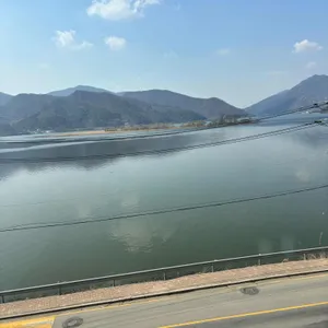 엘 포레스트 리뷰 사진