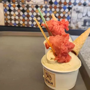 젤라떼리아 징코 사진