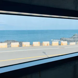 새물 리뷰 사진