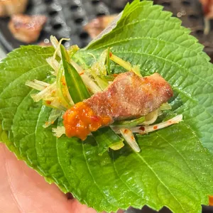 탐라도야지 사진