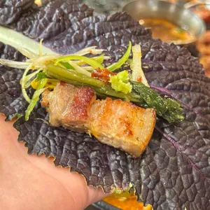 탐라도야지 사진