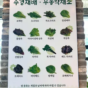 영종쌈밥 리뷰 사진