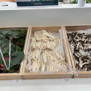 샤브올데이 리뷰 사진