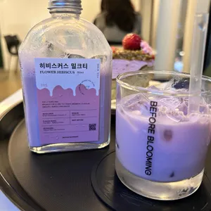 비포블루밍 사진