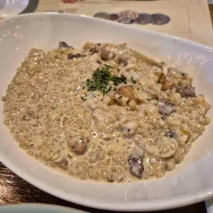 핏제리아루카 사진