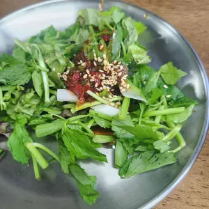 능동미나리 사진