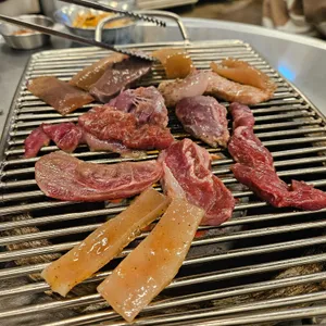 돈주리 사진