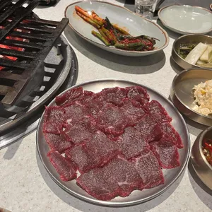 백송 사진