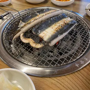 폭풍장어 사진