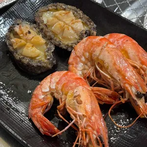 암남공원 갈매기 사진