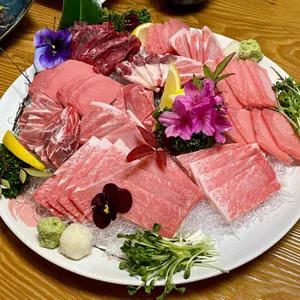 본참치 사진