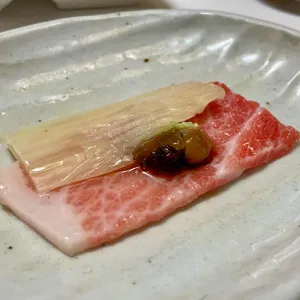 본참치 사진