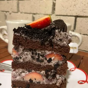 터틀힙 사진