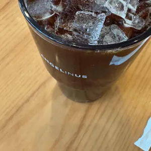 엔제리너스 사진