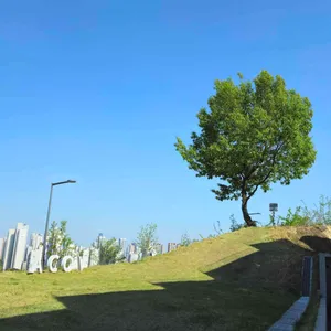 어코브 리뷰 사진
