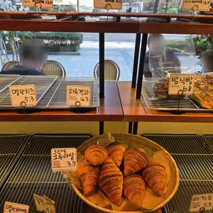 파네트 사진
