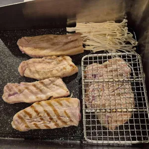 갑돼지 사진
