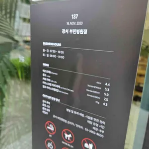 폴 바셋 리뷰 사진