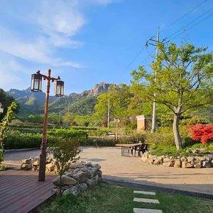 이한영차문화원 리뷰 사진