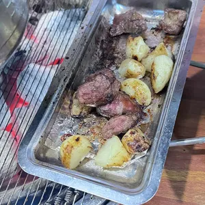 산적통갈매기 사진