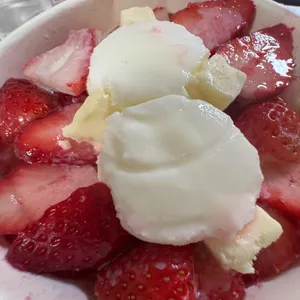 바니하니 사진