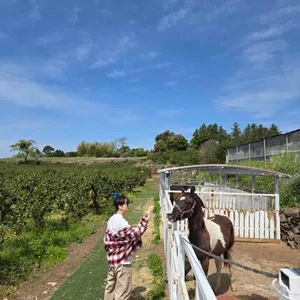 아쿠아산타 사진