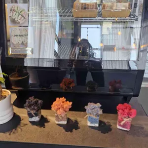 도로시카페 리뷰 사진