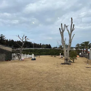만다리노 카페 리뷰 사진
