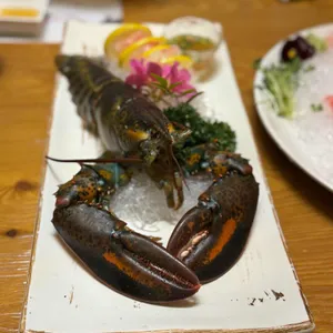 본참치 사진