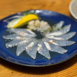본참치 사진