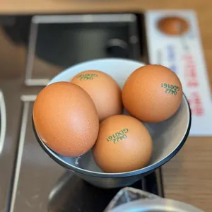 어여와순두부 리뷰 사진