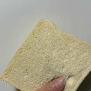화이트리에 사진