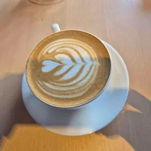 cosmos apt coffee 사진