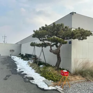 해이와 아산 리뷰 사진